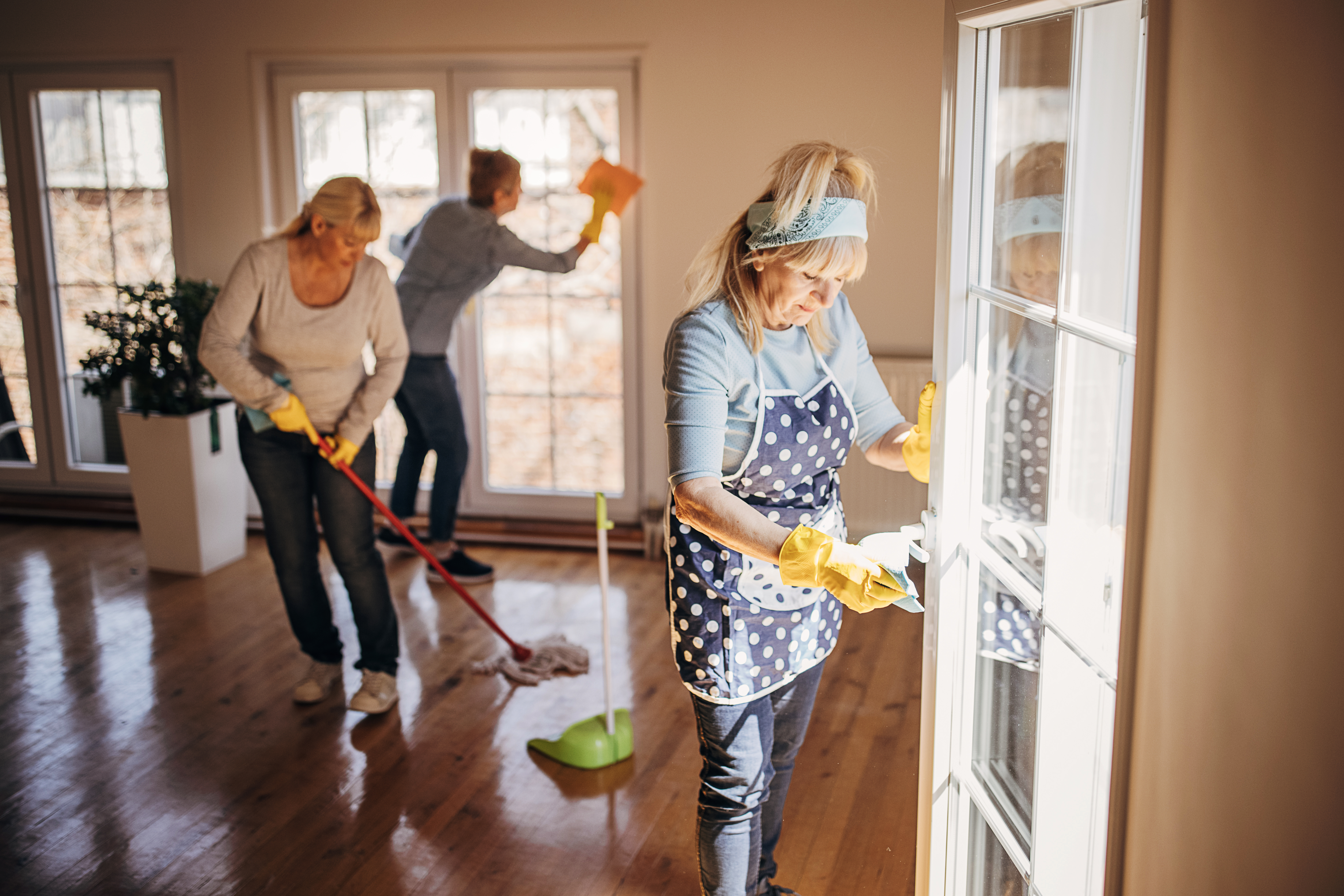 Cleaning Specialists